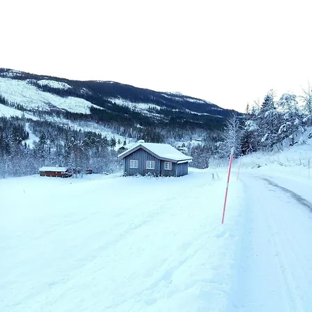 Idyllic At Bjaarvatnet Tuddal